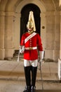 Queens Guardsman Royalty Free Stock Photo