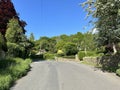 Queens Road, with old trees, and distant houses in, Norwood Green, Halifax, UK