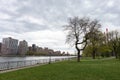 Queensbridge Park with Green Grass along the East River with the Roosevelt Island Skyline in New York City Royalty Free Stock Photo