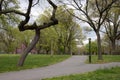 Queensbridge Park with Empty Paths and Green Grass during Spring in Long Island City Queens New York