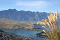 Queenstown from above, New Zealand Royalty Free Stock Photo