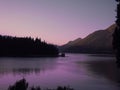 Queenstown at Dusk Royalty Free Stock Photo