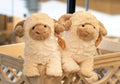 Soft, fluffy sheep plush toys with tags on a wooden shelf in a store.