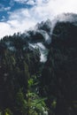 Queenstown Skyline in a cloudy day. Foggy Scene among pine trees forest