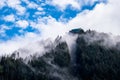 Queenstown Skyline in a cloudy day. Foggy Scene among pine trees forest