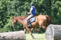 Queeny Park Equestrian 2022 XI