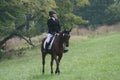 Queeny Park Equestrian 2022 XXVI
