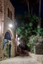 Queet street - Mazal Tal& x27;e at night in old city Yafo, Israel.