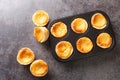 Queijadas or Queijadinhas, little Portuguese cheesecakes made with Queijo Fresco close-up in a baking dish. Horizontal top view