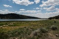 Quemado Lake grass, New Mexico