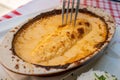 Quenelle, speciality of Lyon, oval-shaped dumplings filled with pike white fish served in creamy sauce in traditional Lyonnaise