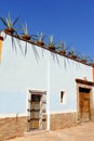 Blue agaves in a traditional house in Queretaro, mexico IV Royalty Free Stock Photo