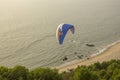 Tandem paragliders on a blue parachute flies over green trees against a sandy beach and ocean Royalty Free Stock Photo
