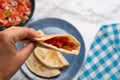 Quesadilla with fresh sauce called pico de gallo. Mexican food Royalty Free Stock Photo