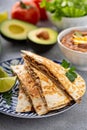 Quesadillas with pulled pork Royalty Free Stock Photo