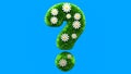 Question mark grass font with flower chamomile isolated on blue background. Concept of grassed question symbol. Metaphor for Royalty Free Stock Photo