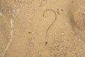 question mark on the sand Royalty Free Stock Photo