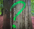 Question mark on a tree trunk in the forest close up