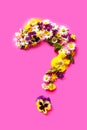 The question mark of wild flowers on the pink Royalty Free Stock Photo