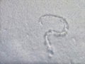 A question mark written in the snow. The cold frosty texture of the snow and the question mark. Background, place for