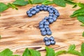 Question sign made of fresh ripe natural blueberries with bright green spearmint frame on a brushed wooden background. Healthy die Royalty Free Stock Photo