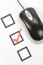 Questionnaire and computer mouse Royalty Free Stock Photo