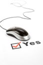 Questionnaire and computer mouse Royalty Free Stock Photo