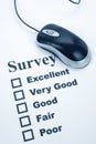 Questionnaire and computer mouse Royalty Free Stock Photo