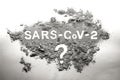 Questions and answers on all there is to know of the sars-cov-2 coronavirus, Covid-19