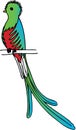 Quetzal