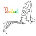 Quetzal Bird coloring book illustration