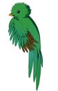 Quetzal Royalty Free Stock Photo