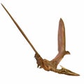 Quetzalcoatlus Royalty Free Stock Photo