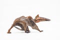 Quetzalcoatlus ,dinosaur on white background