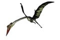 Quetzalcoatlus flying head down - 3D render