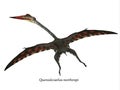 Quetzalcoatlus Flying Reptile with Font Royalty Free Stock Photo