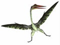 Quetzalcoatlus Reptile on White