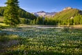 Queyras Nature Park with Lac de Roue lake late Spring. Hautes-Alpes, Alps, France