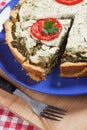 Quiche lorraine wit spinach and tomato Royalty Free Stock Photo
