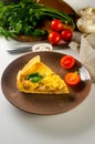 Quiche - open tart, meat pie with chicken, champignons mushrooms and cheese Royalty Free Stock Photo