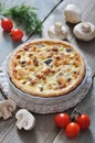 Quiche pie with chicken and mushroom Royalty Free Stock Photo