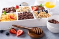 Quick breakfast cereals Royalty Free Stock Photo