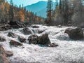 Quick mountain stream. Water is washed mountain stones. The river in the autumn forest