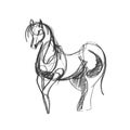 A quick pencil sketch of a half-turn horse on white paper. Fine freehand gesture drawing in minimalistic style. Modern monochrome