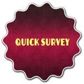 QUICK SURVEY round badge