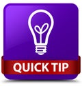 Quick tip (bulb icon) purple square button red ribbon in middle Royalty Free Stock Photo