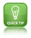 Quick tip (bulb icon) special soft green square button Royalty Free Stock Photo