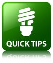 Quick tips (bulb icon) green square button Royalty Free Stock Photo