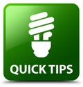 Quick tips (bulb icon) green square button Royalty Free Stock Photo