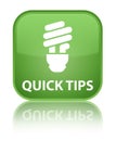 Quick tips (bulb icon) special soft green square button Royalty Free Stock Photo